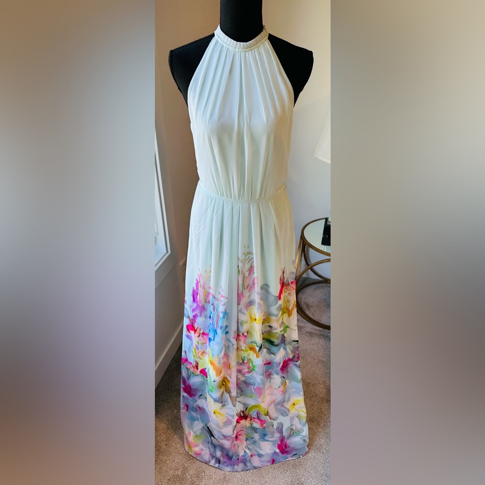 Ted Baker Maxi Dress - Picture 3 of 9